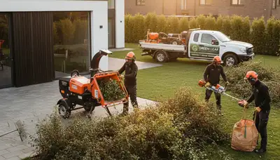 Professional shrub removal service in Saint Petersburg FL clearing overgrown bushes and hedges