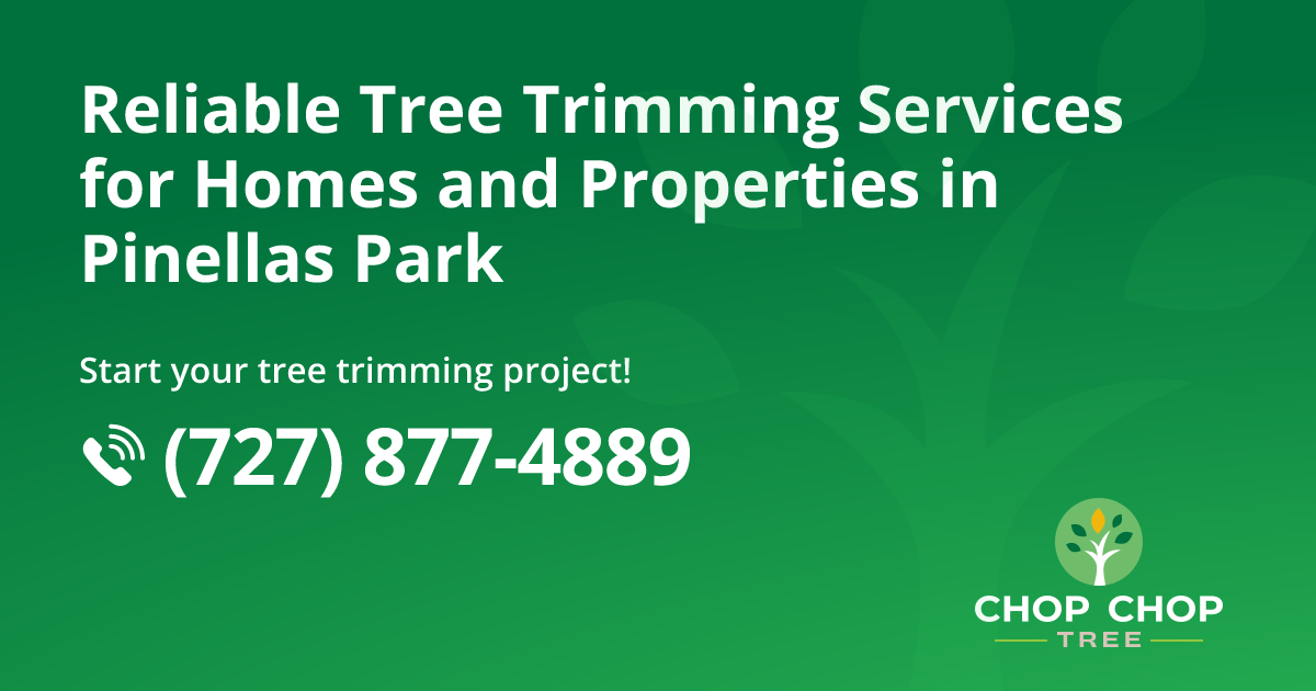 Tree Trimming & Tree Services in Pinellas Park, FL | Chop Chop Tree